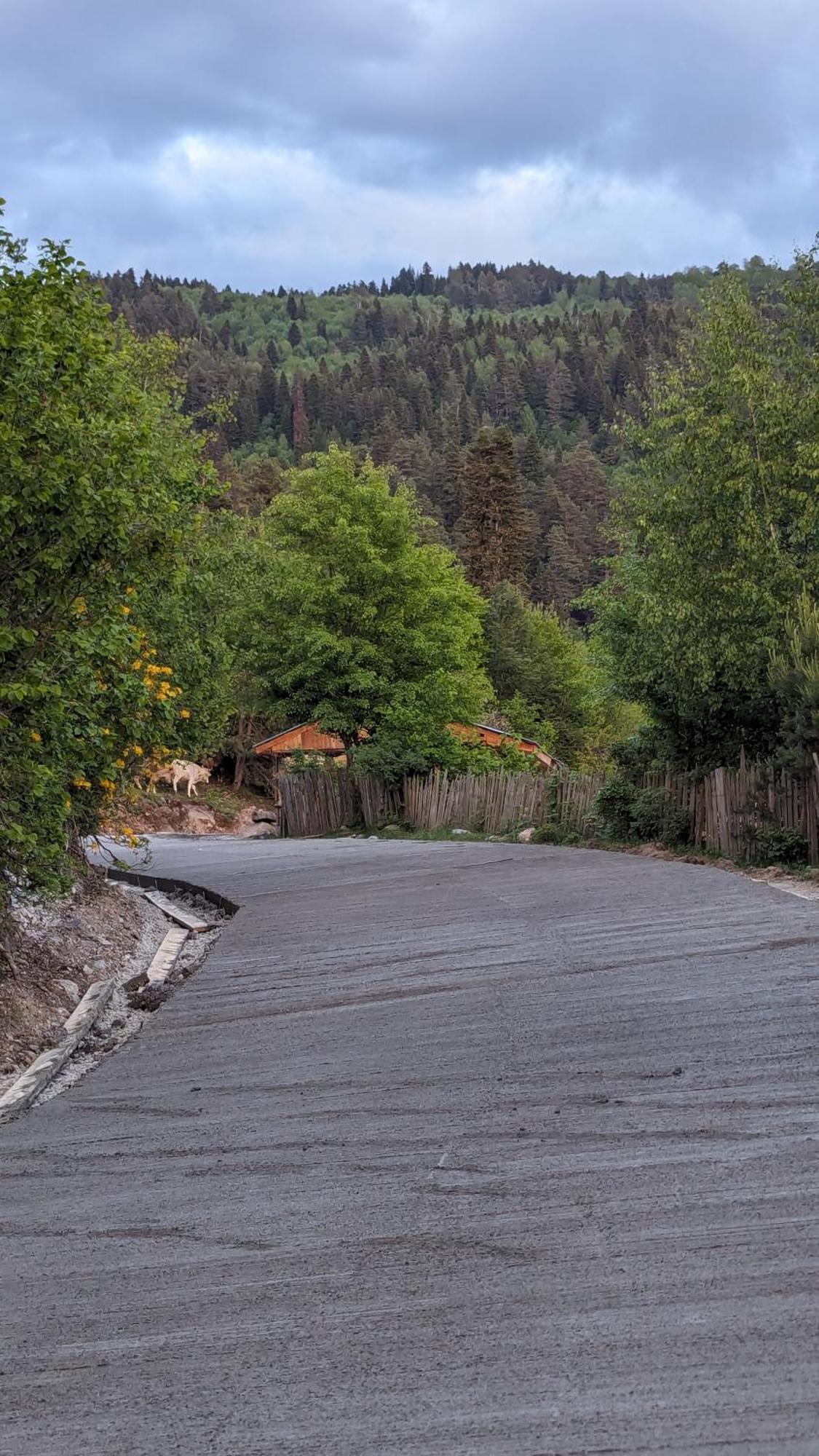 Heshkili Huts Svaneti Keshkili Εξωτερικό φωτογραφία