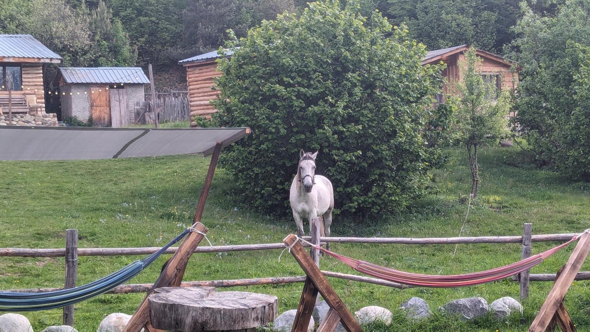 Heshkili Huts Svaneti Keshkili Εξωτερικό φωτογραφία